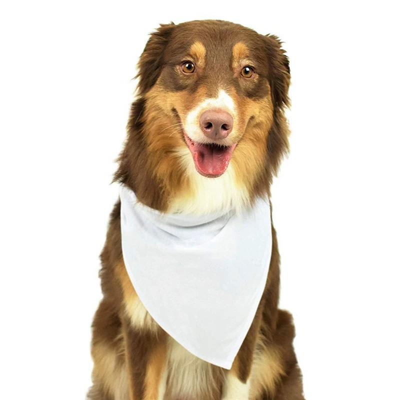 Bandana Blank White - 30 قطعة من عصابات الكلاب الفارغة