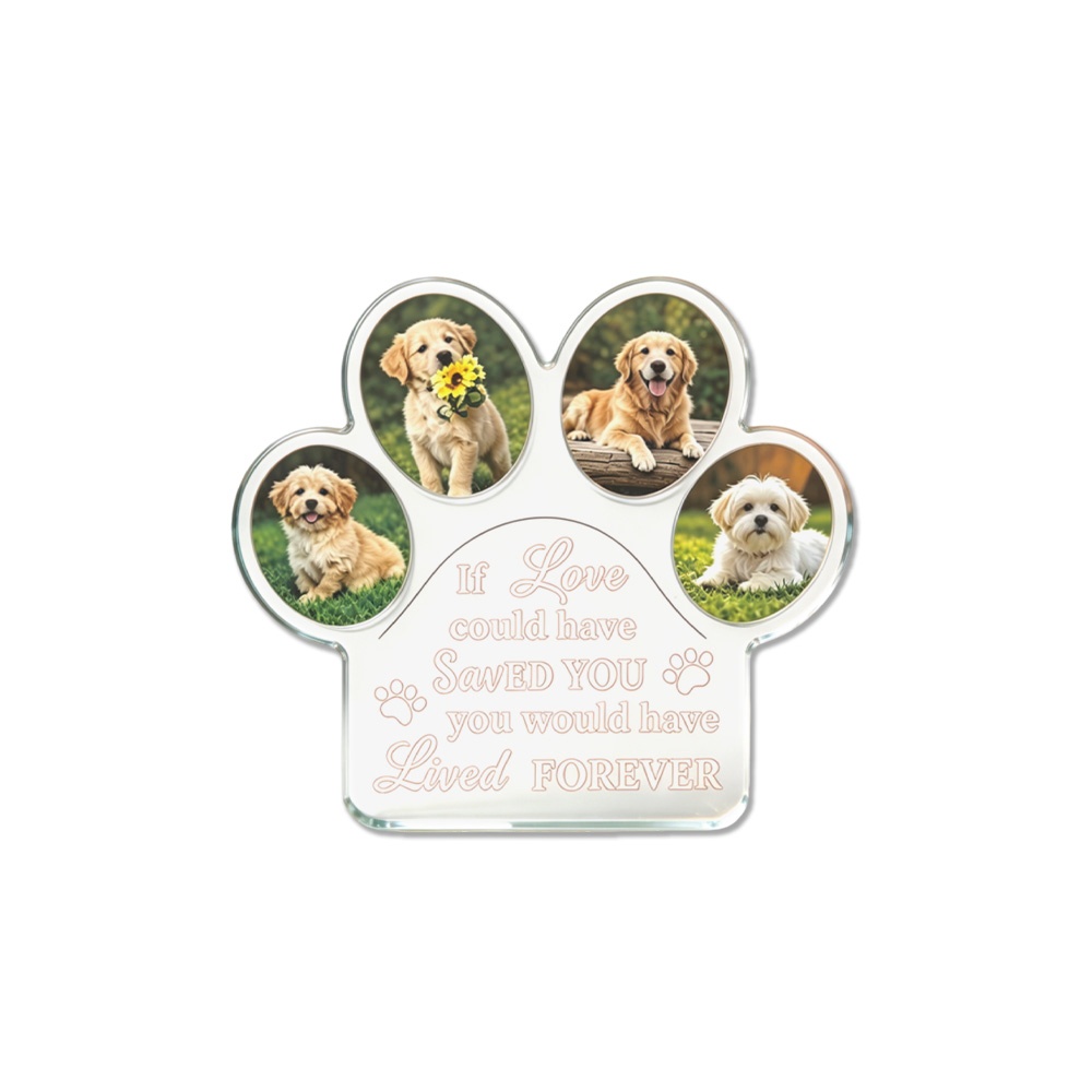 قطعة واحدة: لوحة عرض أكريليك م - مراجعة Photo Acrylic Block وسعره